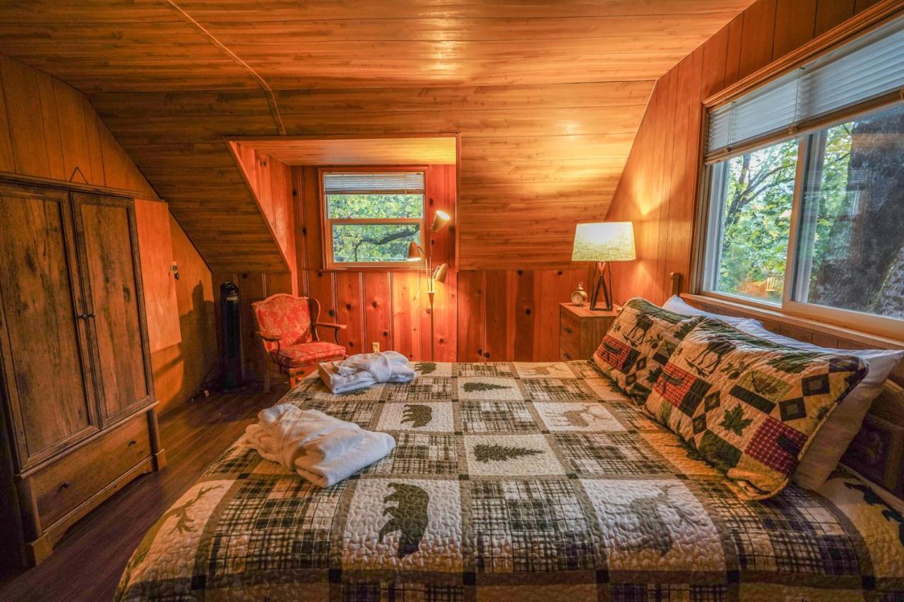 Ultimate Tahoe Retreat Cabin 3 Bedroom Forest Mountain Explore, Tesla Ev Charging Kyburz Exterior photo